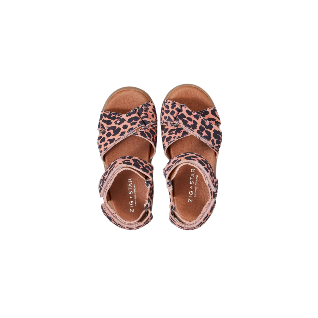Zig and Star Sandals | Infant Rae | Pink Animal