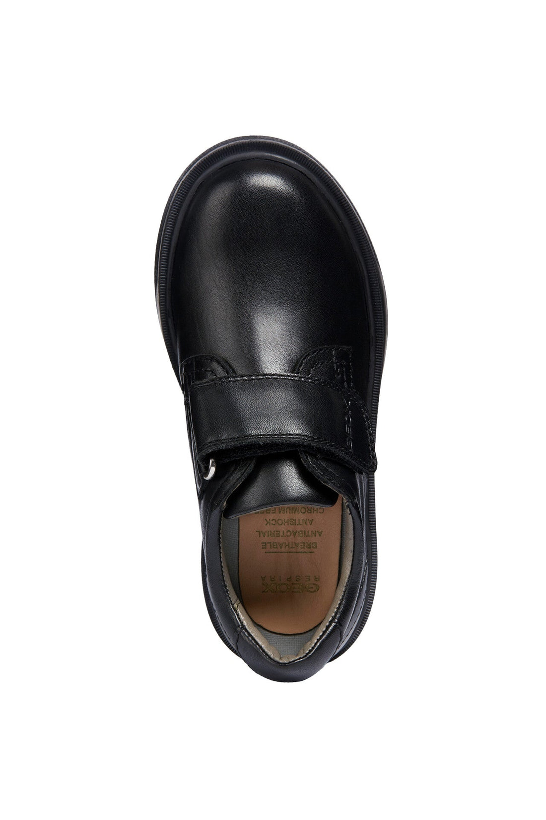 Geox School Shoes | Riddock Velcro | Black Leather
