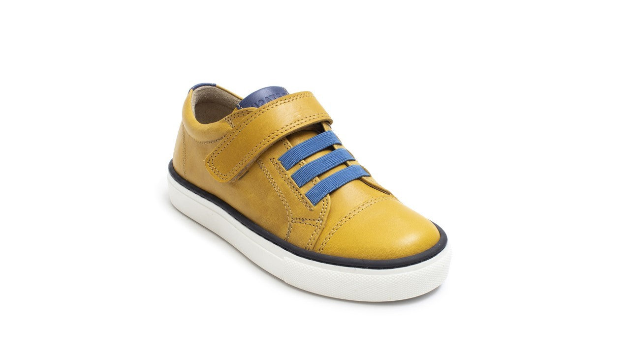 Petasil | Ryan | Mustard & Blue
