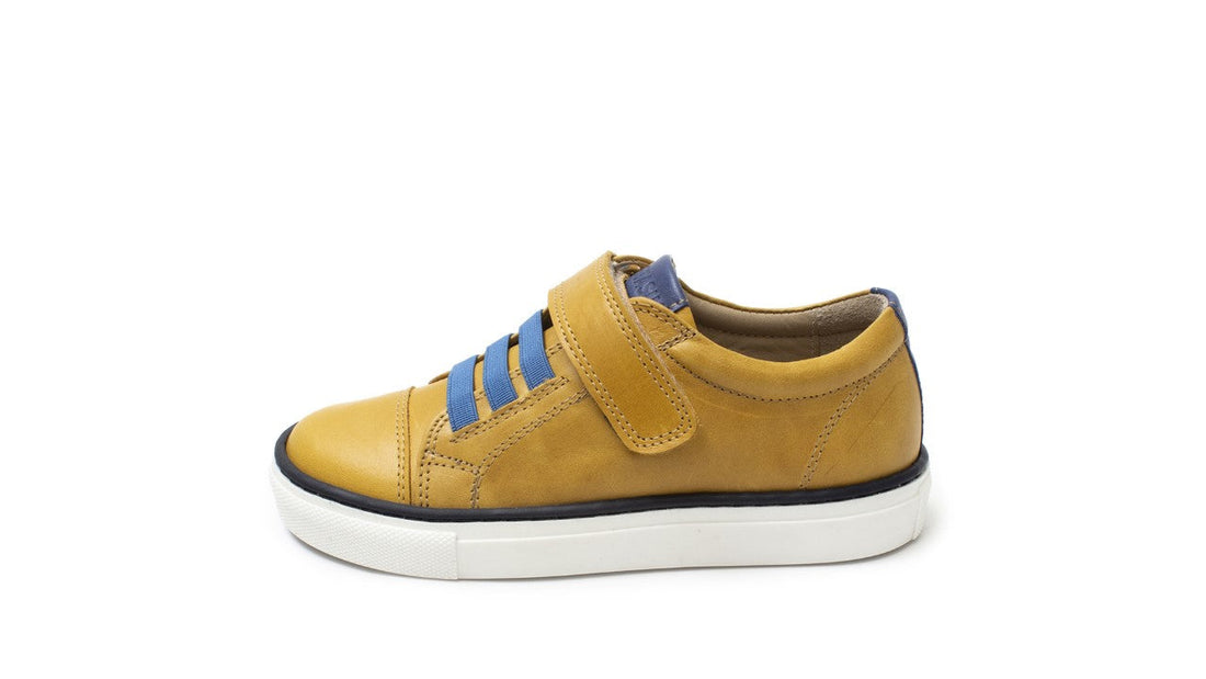 Petasil | Ryan | Mustard & Blue